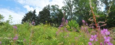  0001 natur